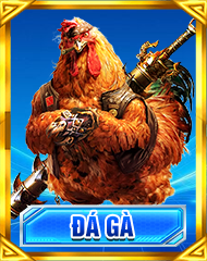 đá gà km88