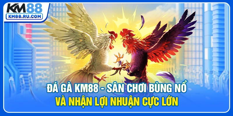 Đá Gà KM88
