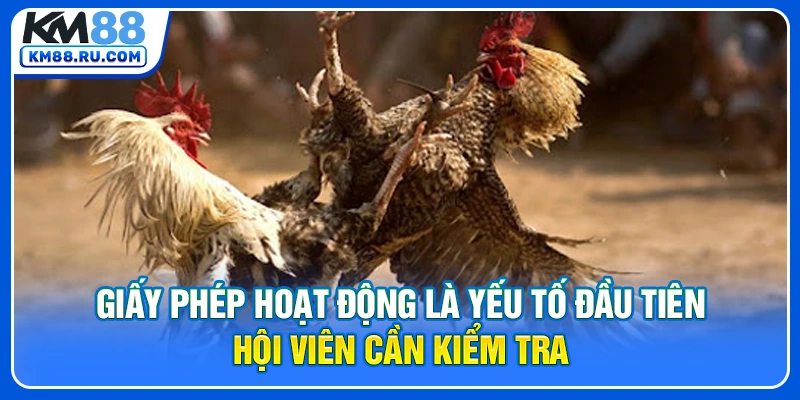 Giấy phép hoạt động là yếu tố đầu tiên hội viên cần kiểm tra