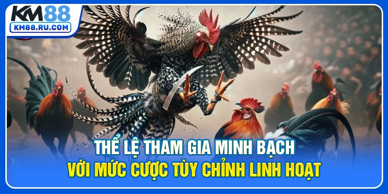 Thể lệ tham gia minh bạch với mức cược tùy chỉnh linh hoạt