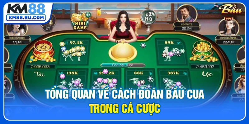 Tổng quan về cách đoán bầu cua trong cá cược