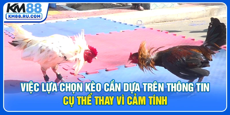 Việc lựa chọn kèo cần dựa trên thông tin cụ thể thay vì cảm tính